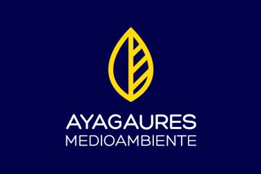AYAGAURES